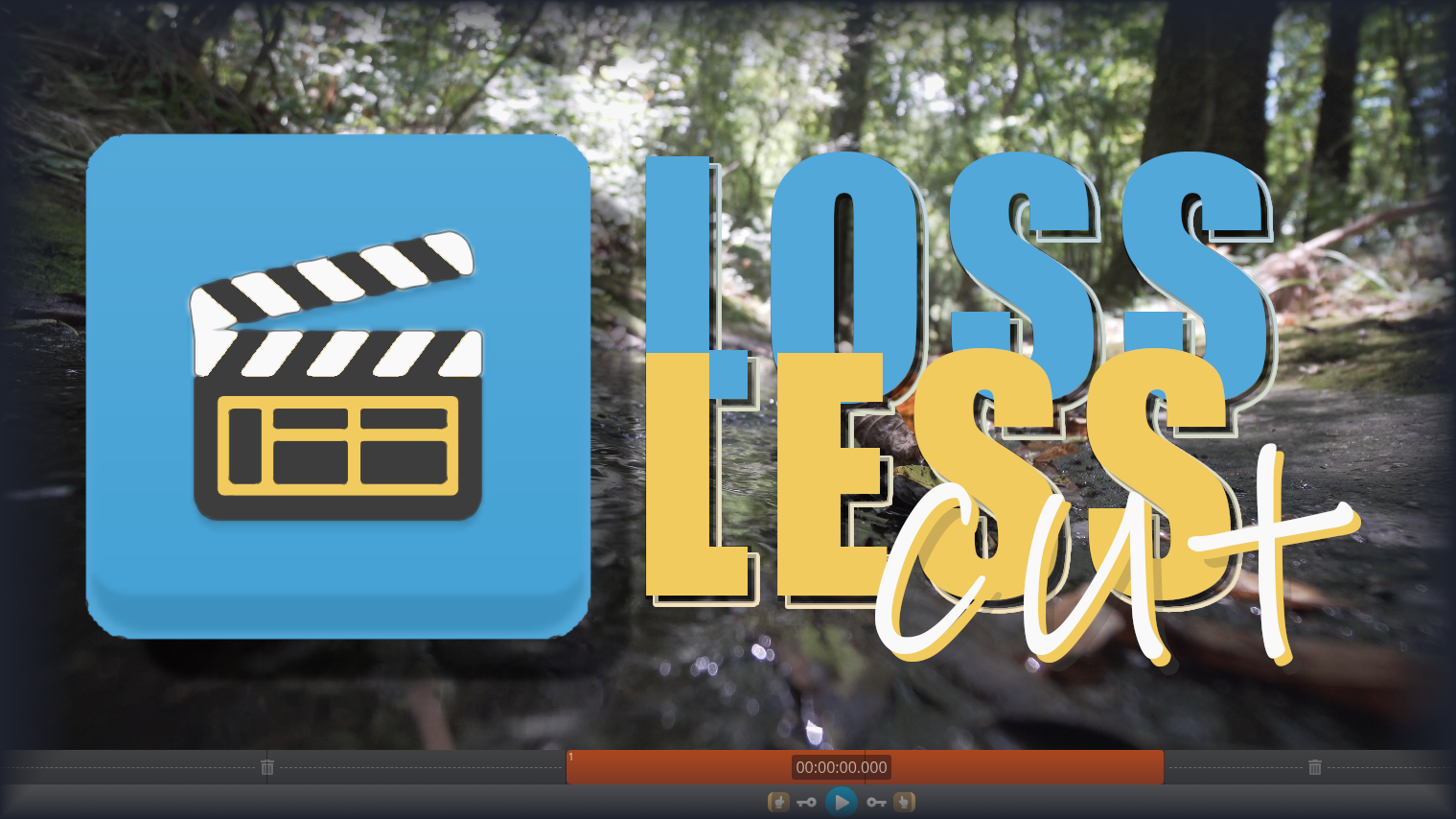 LosslessCut 3.56 download the last version for mac