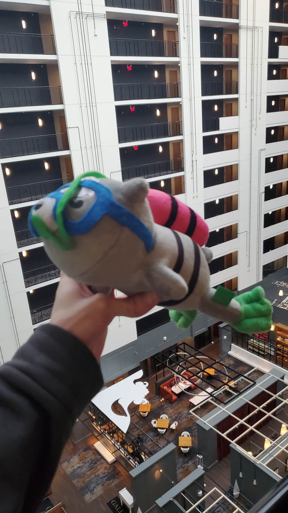 the hotel was beautiful, and jinx the scuba cat loves it